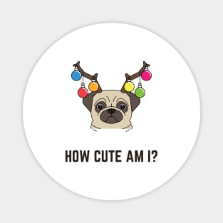 How cute am I, cute christmas pug Magnet